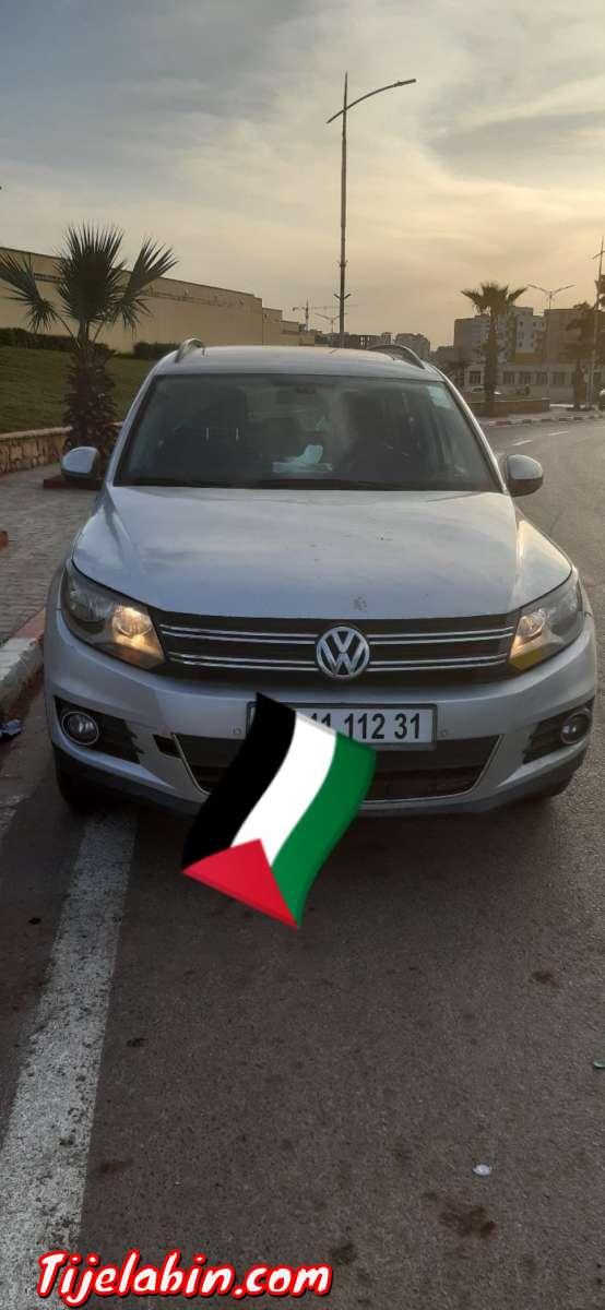 تيقوان2012