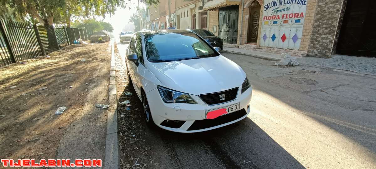 Ibiza titanium