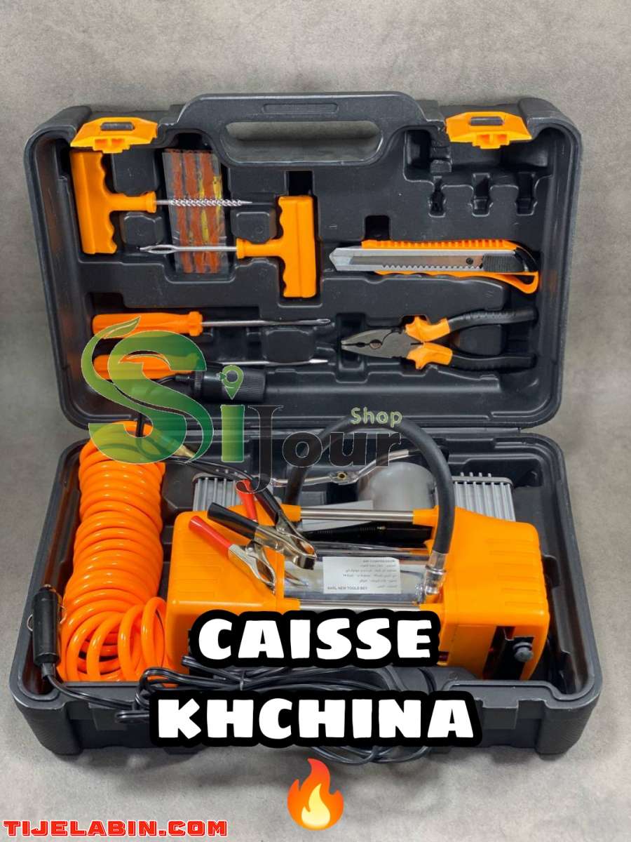 Compresseur gonfleur ORCA double piston + valise + accessoi