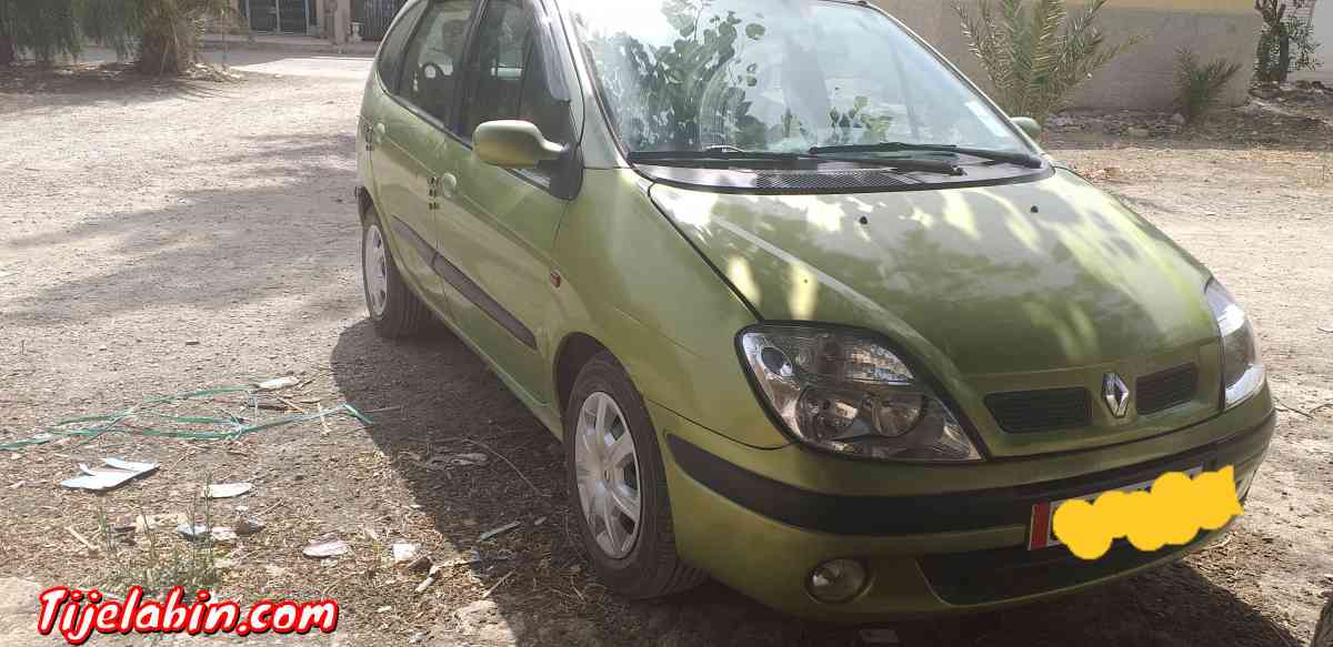 SCENIC 2002 CHERCHE ECHANGE ACCENT 207 208 ou autre