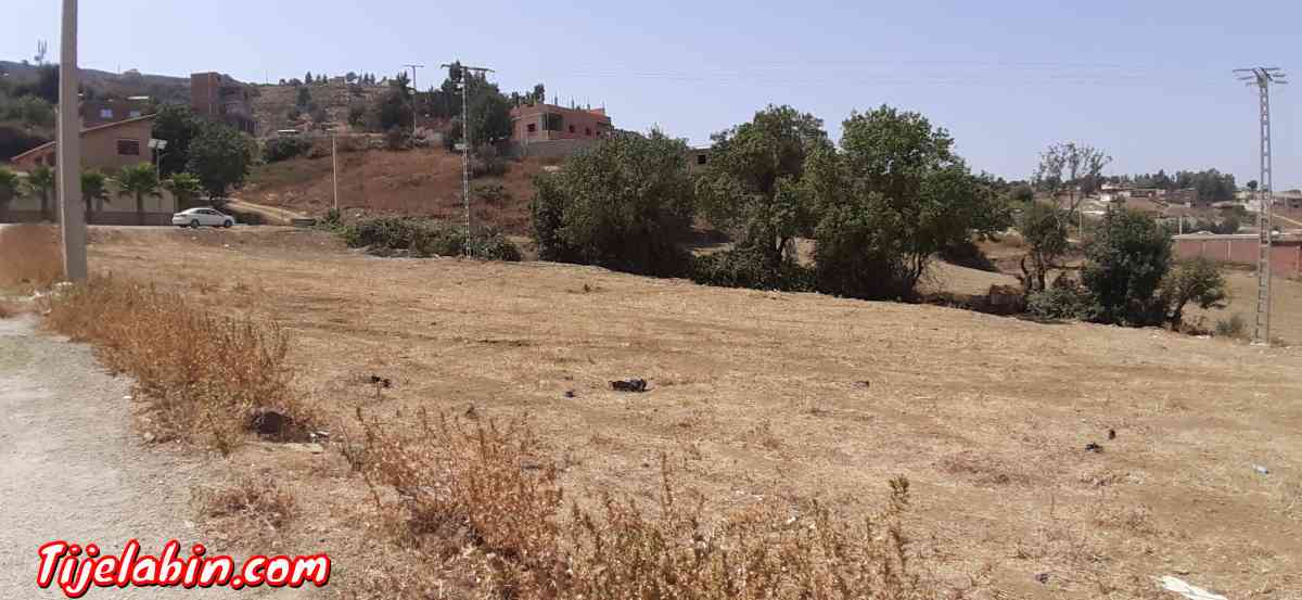 حي الڨهايز جبابرة مفتاح البليدة - Djebabra, Blida - Tijelabin