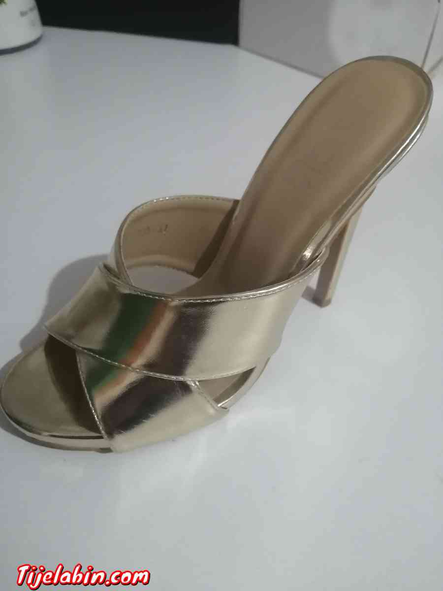 mule doré - Draria, Alger - Tijelabin