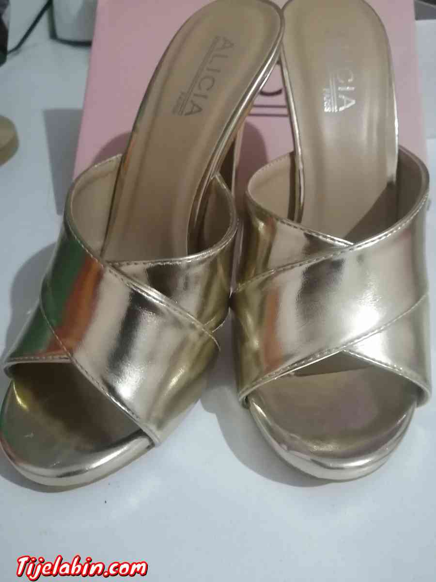 mule doré - Draria, Alger