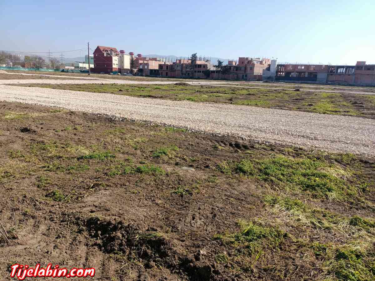 بيع قطع ارضي صالحة لي بناء بضواحي رايس بلعوادي ( عقد ملكية د - Rais Hamidou, Alger - Tijelabin