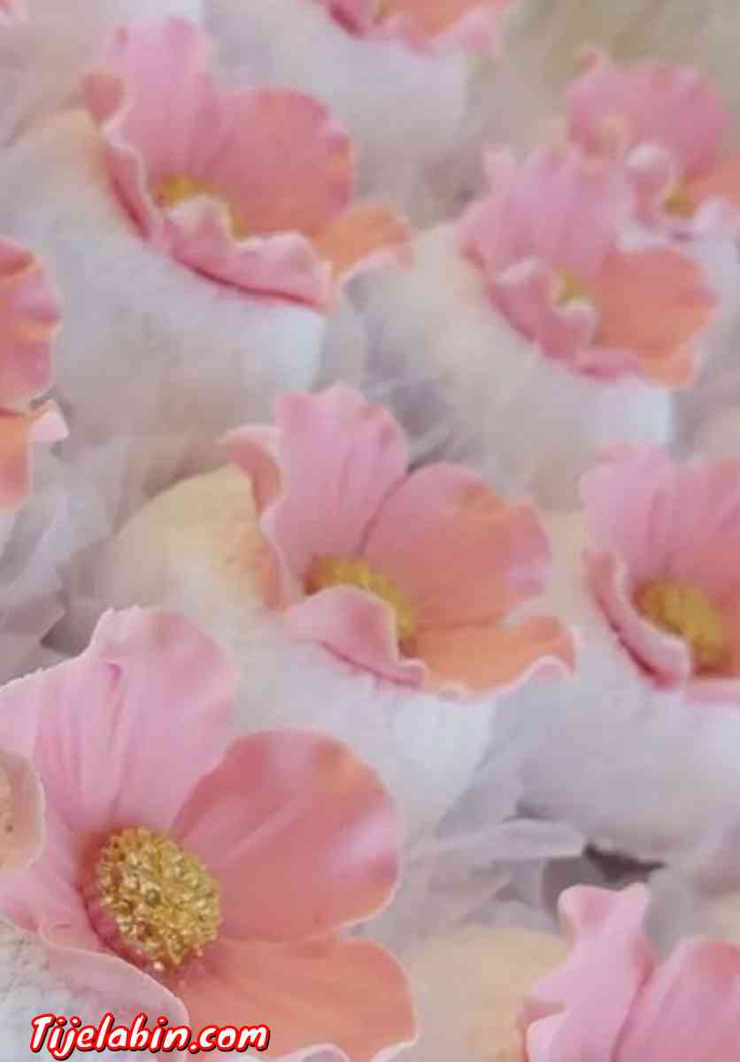 Gateaux de fête - Hussein Dey, Alger - Tijelabin