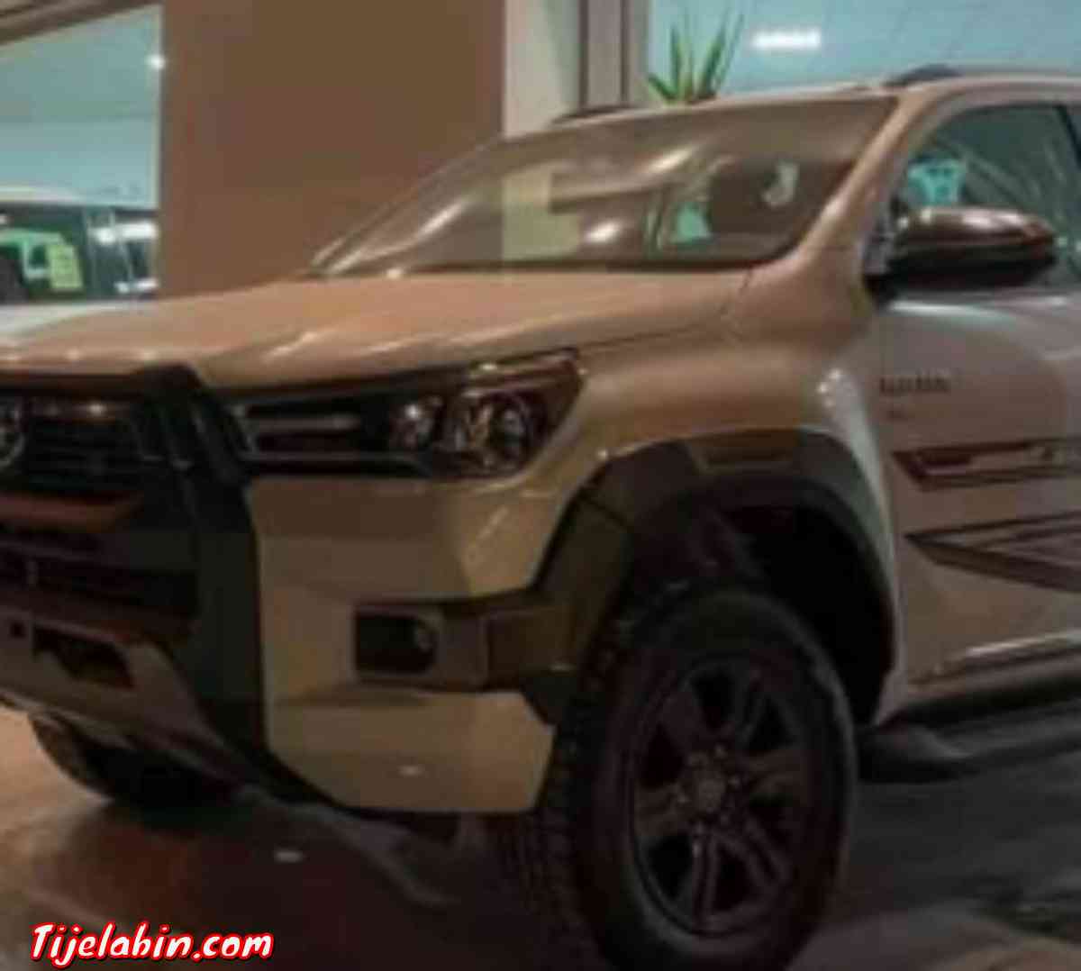 الجزائر ولاية الوادي سوف