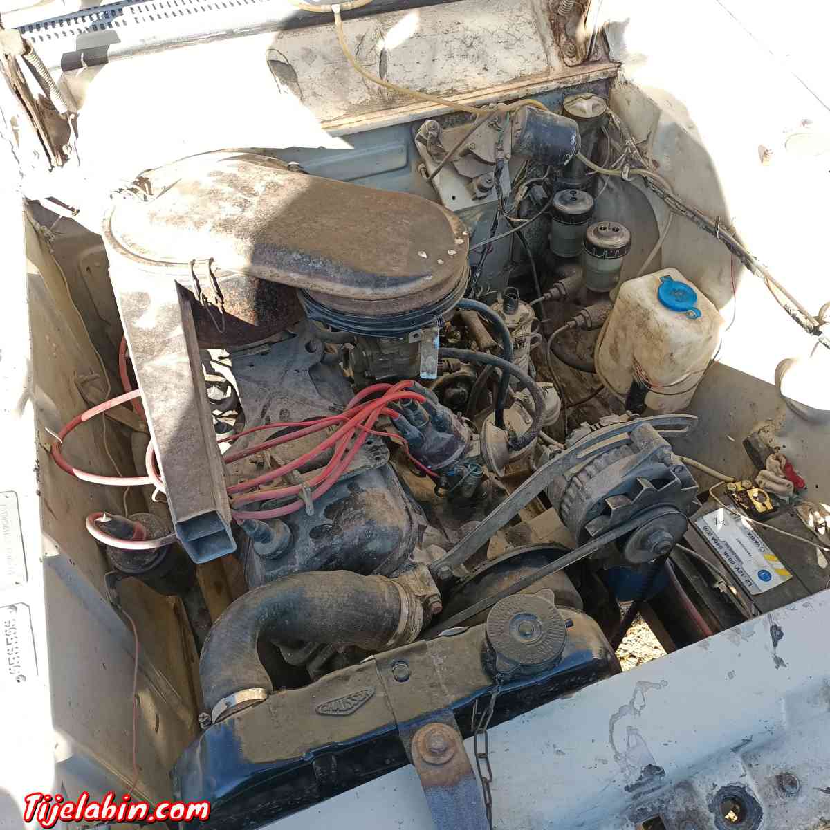 معود فول - Abdelmalek Ramdane, Mostaganem - Tijelabin