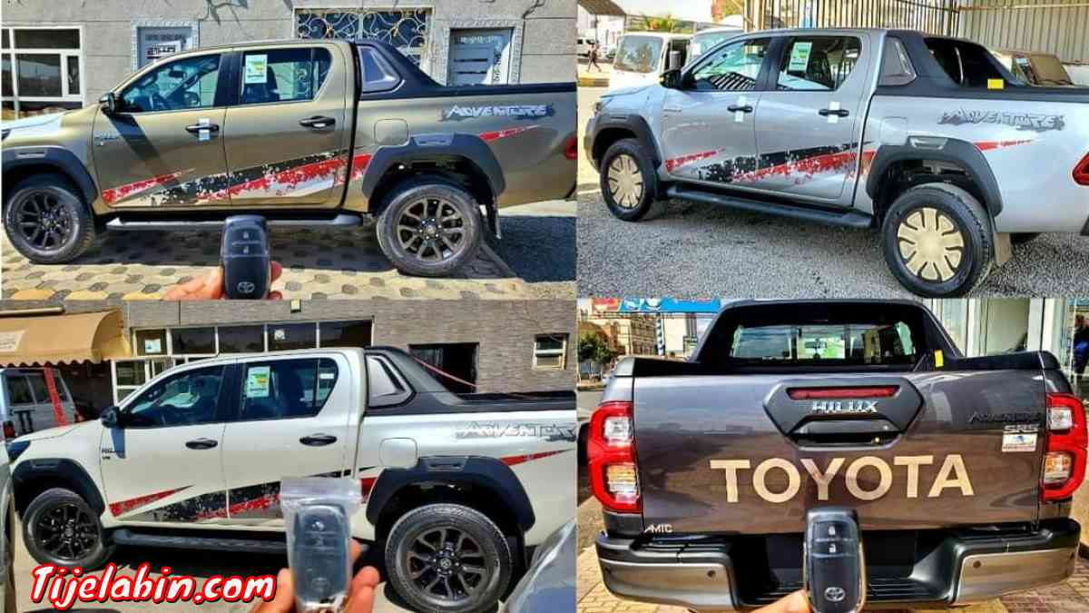 الجزائر ولاية الوادي سوف - Kais, Khenchela - Tijelabin