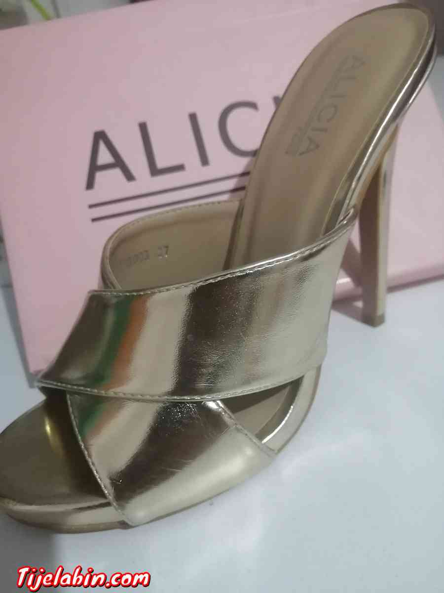 mule doré - Draria, Alger - Tijelabin