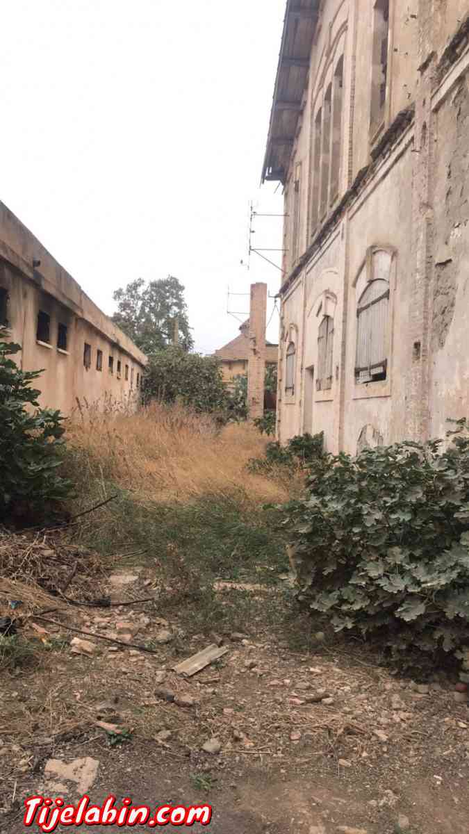 vente d hangar - Bourkika, Tipaza - Tijelabin