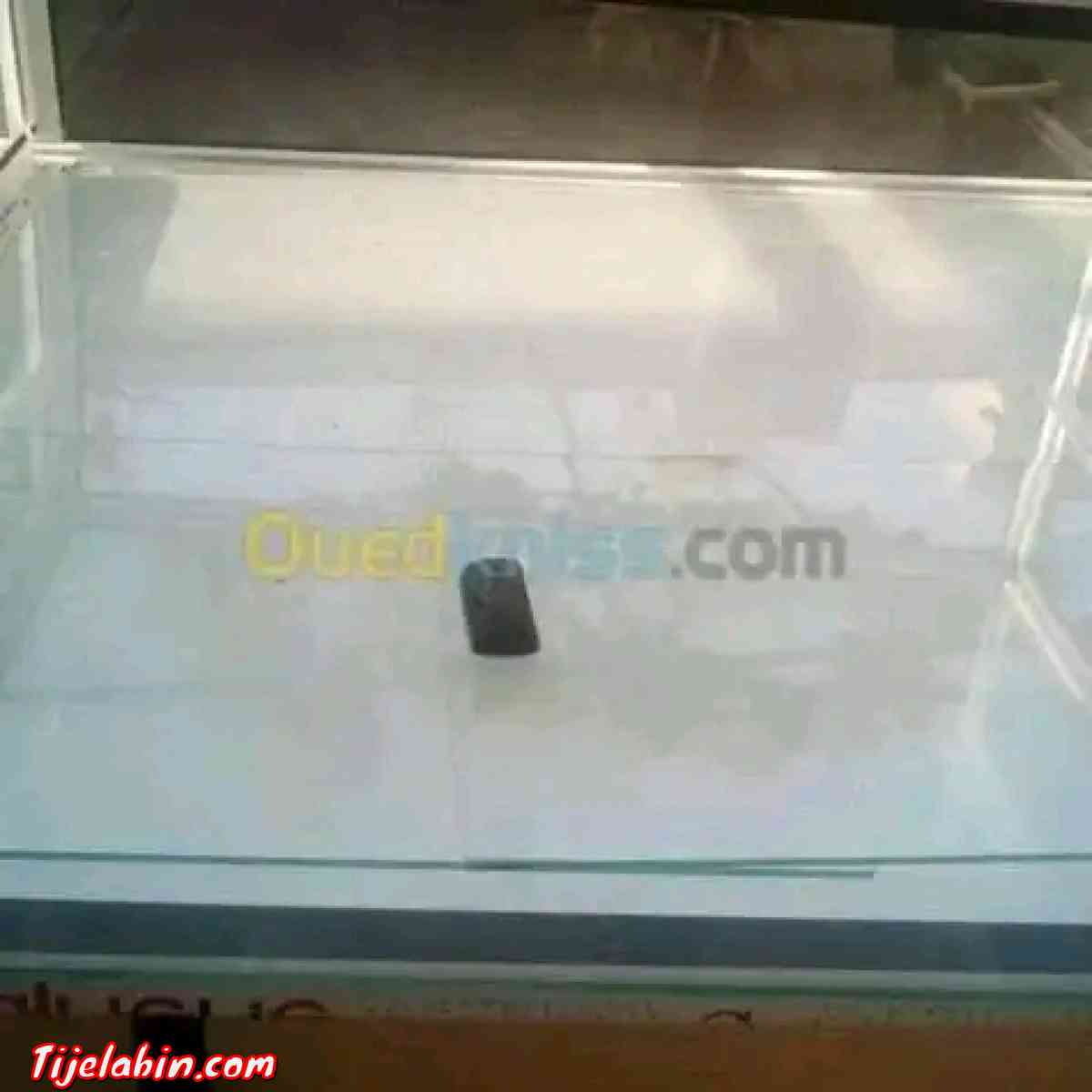 كونطوار فور للبيع - Ain Djasser, Batna - Tijelabin