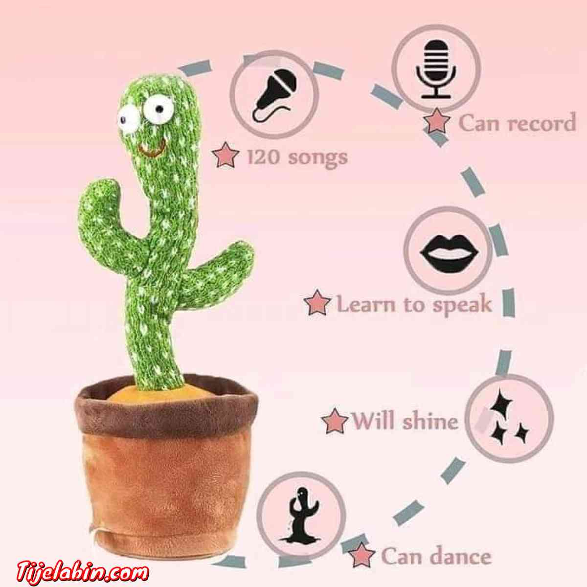 لعبة الصبار الراقصة المتكلمة - Adekar, Béjaïa - Tijelabin