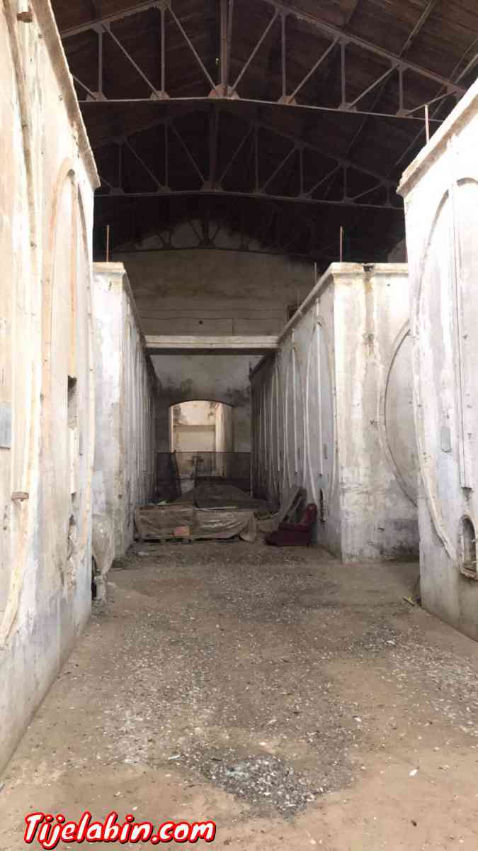 vente d hangar - Bourkika, Tipaza - Tijelabin