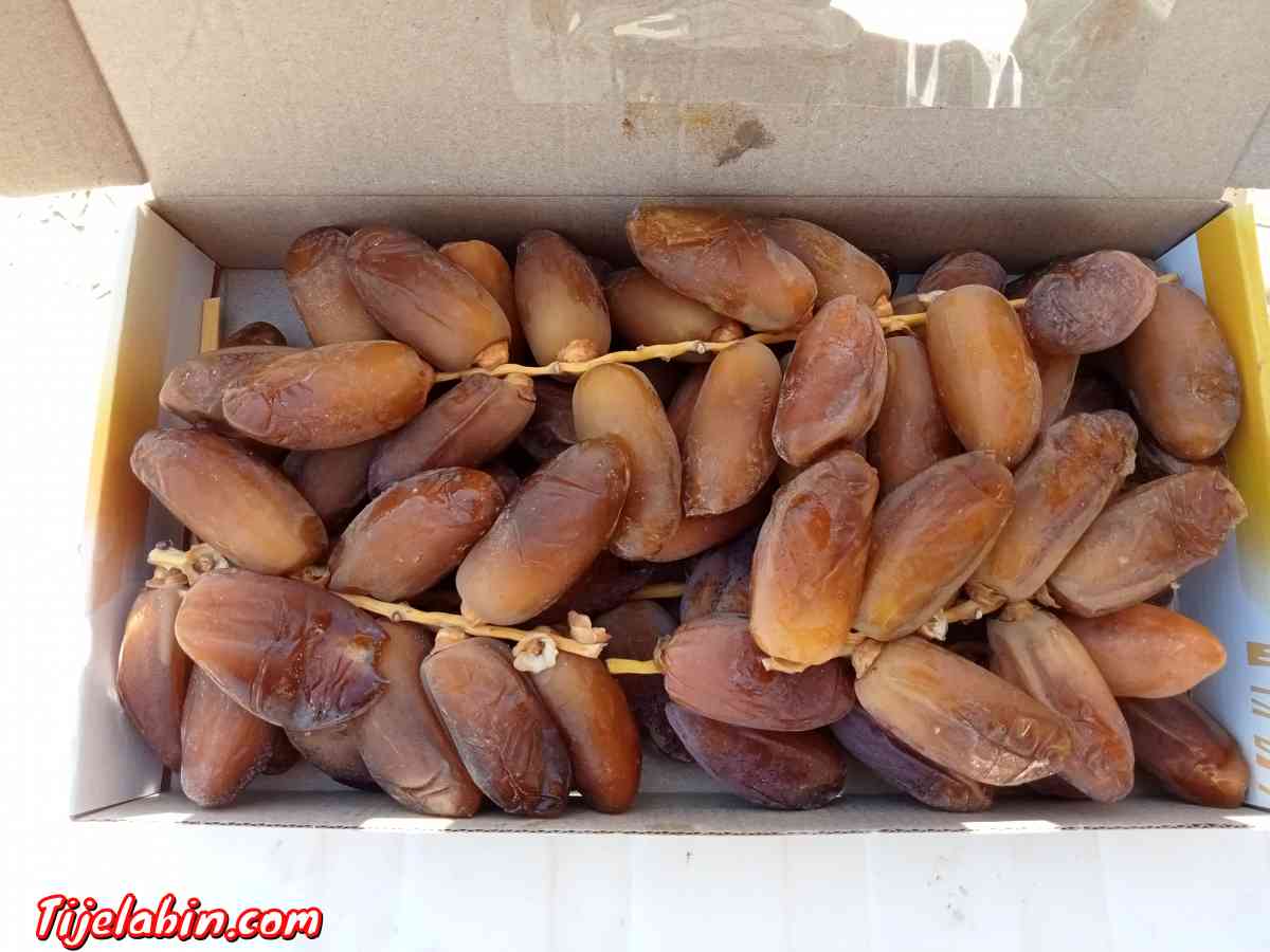 Dgla Biskra b l Djmla.