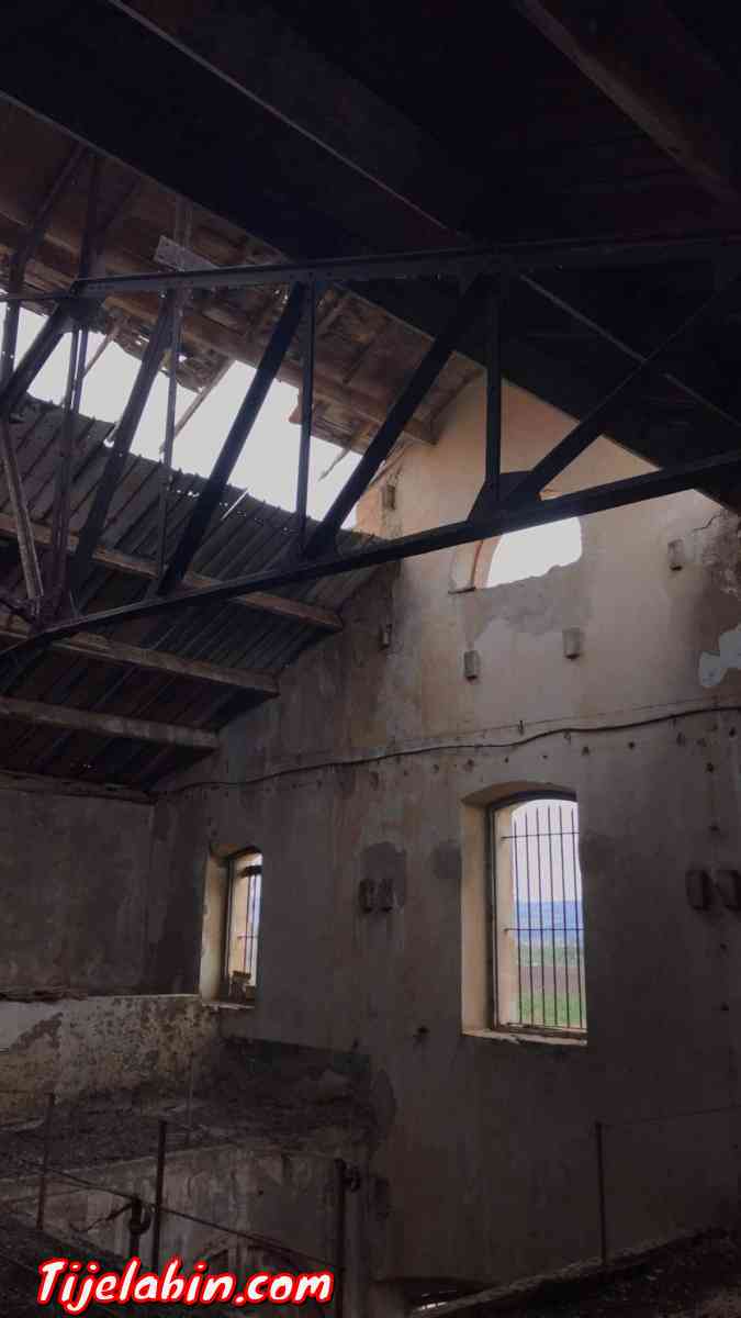 vente d hangar - Bourkika, Tipaza - Tijelabin