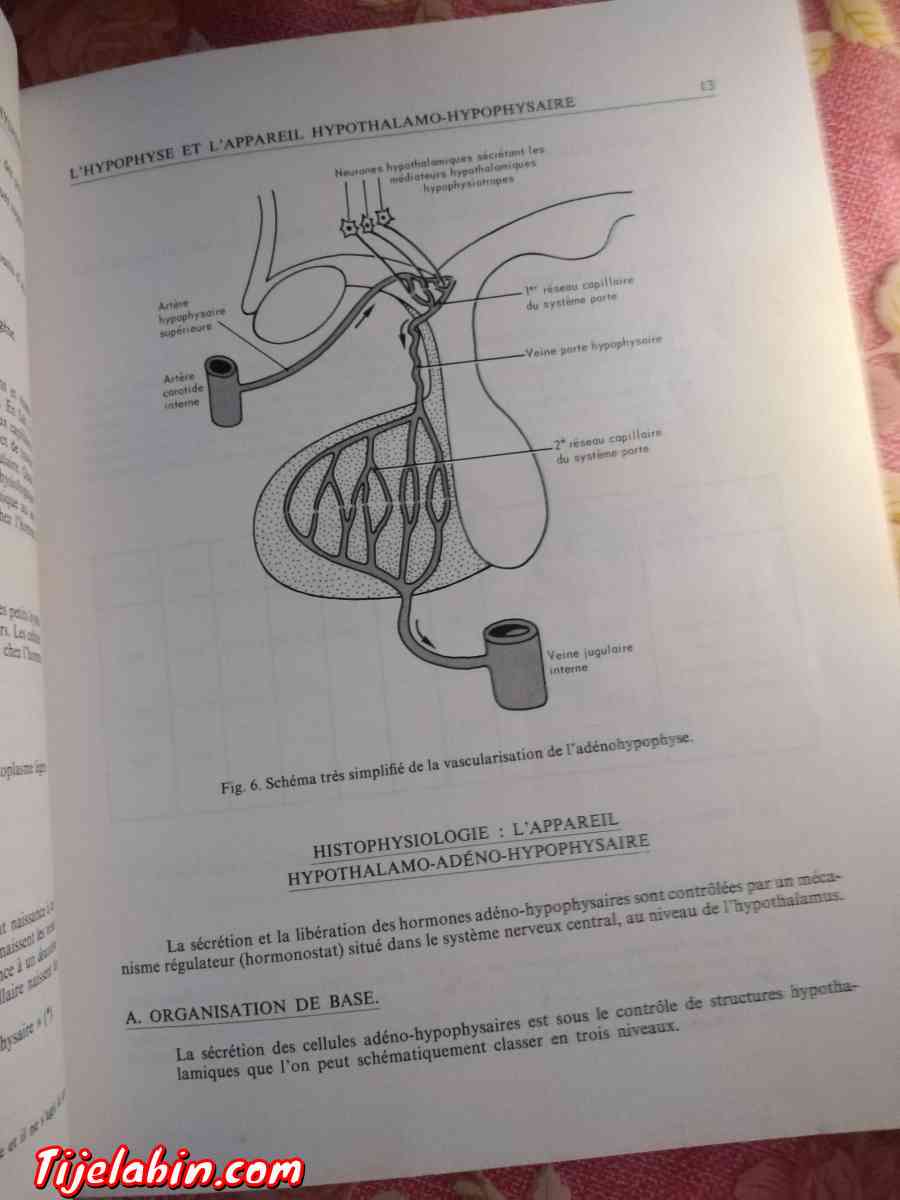 livres de médecine - Soumaa, Blida - Tijelabin