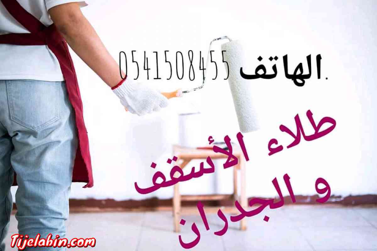 خدمات الدهان ، الديكور الداخلي و الخارجي ...إلخ - Ain Tagourait, Tipaza - Tijelabin