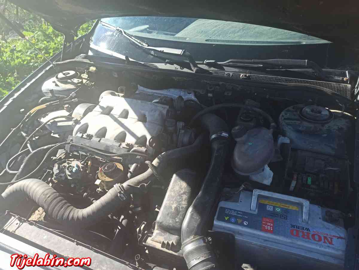 safran 1998 mchya 450 - Bordj Menaiel, Boumerdes - Tijelabin