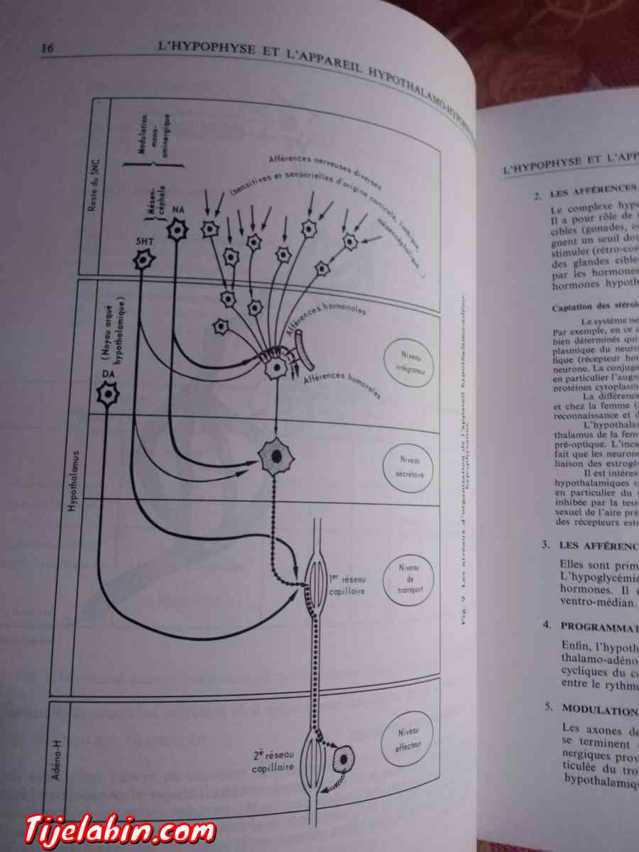 livres de médecine - Soumaa, Blida - Tijelabin