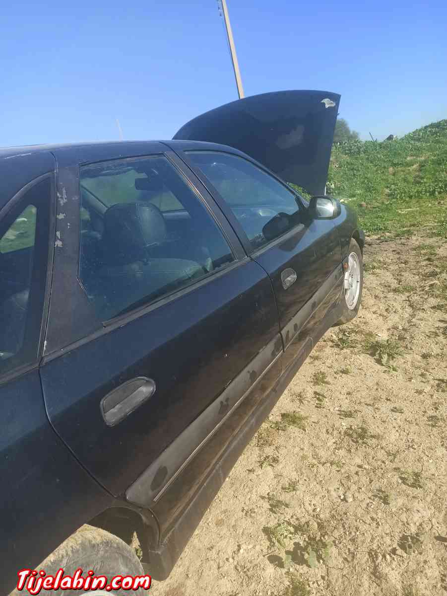 safran 1998 mchya 450 - Bordj Menaiel, Boumerdes - Tijelabin