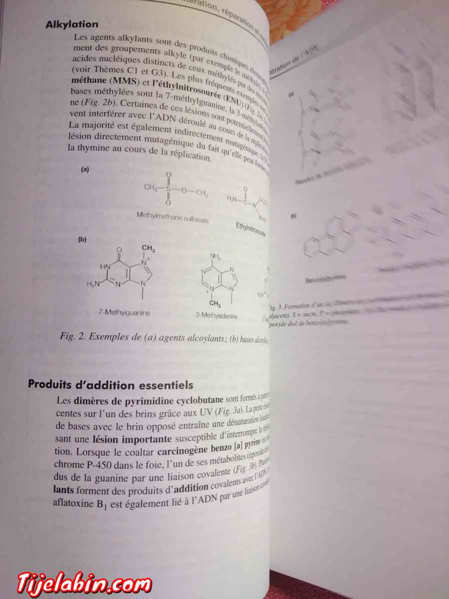 livres de médecine - Soumaa, Blida - Tijelabin