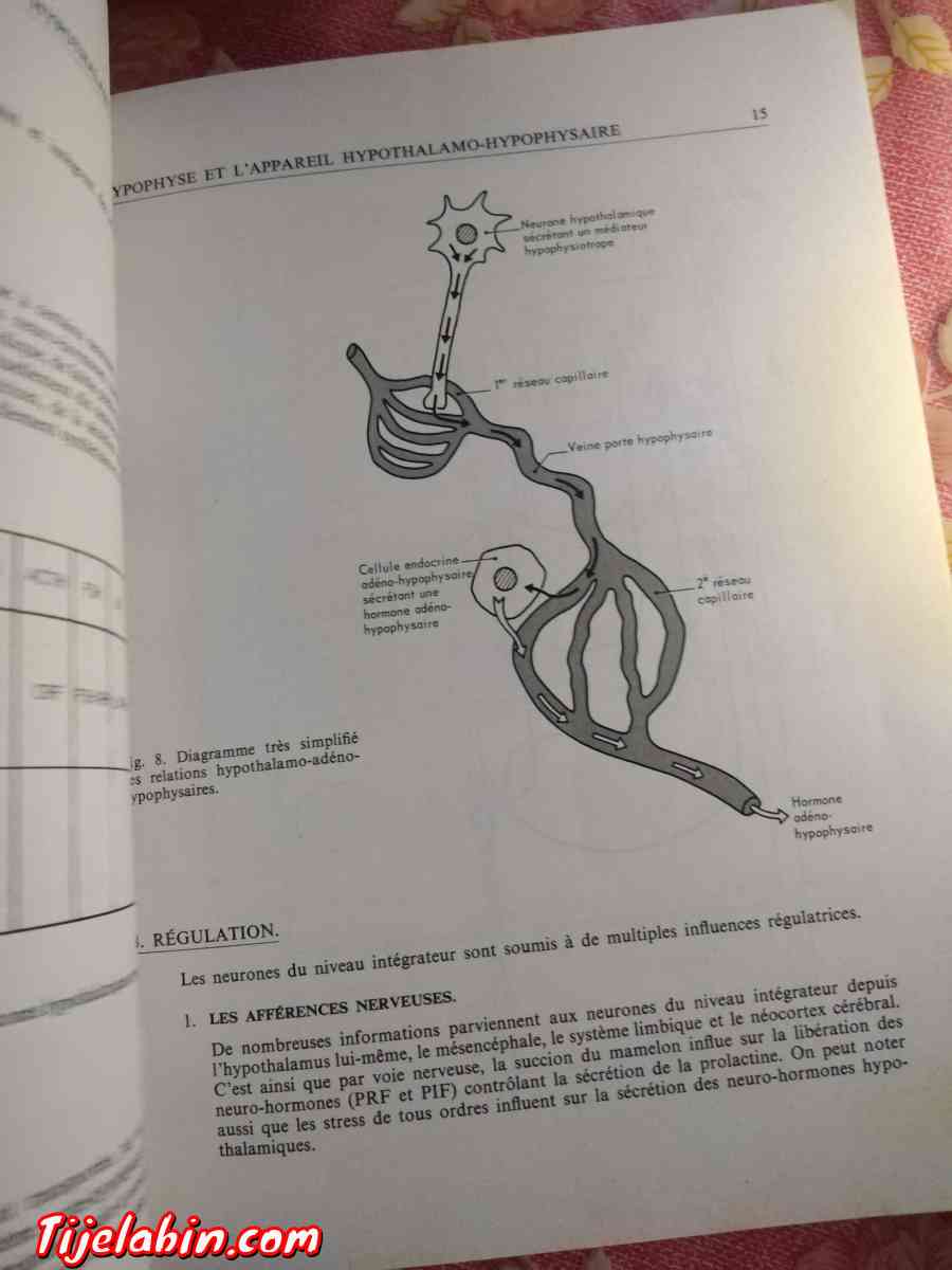 livres de médecine - Soumaa, Blida - Tijelabin