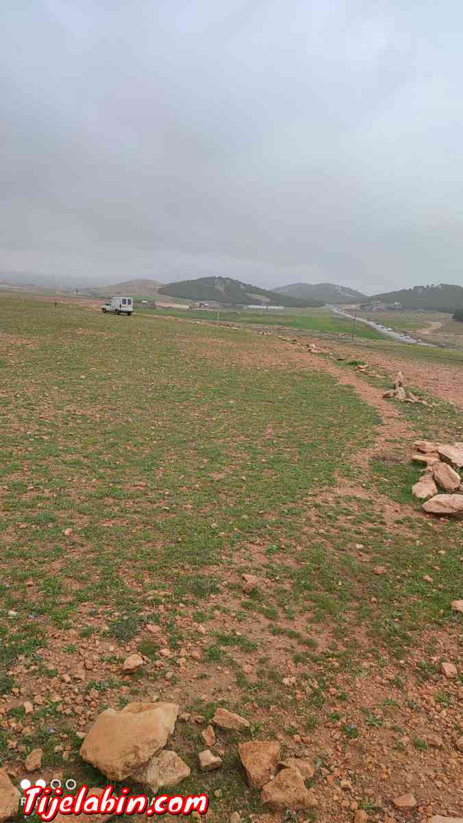 قطعة ارض للبيع - Ksar El Abtal, Setif - Tijelabin