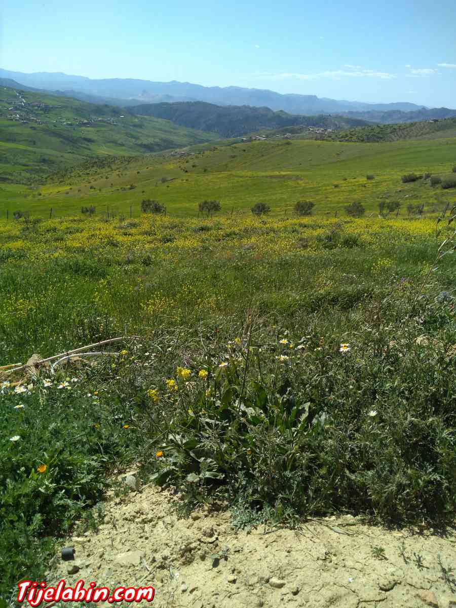 ارض2800م2 - Teniet En Nasr, Bordj Bou Arreridj - Tijelabin