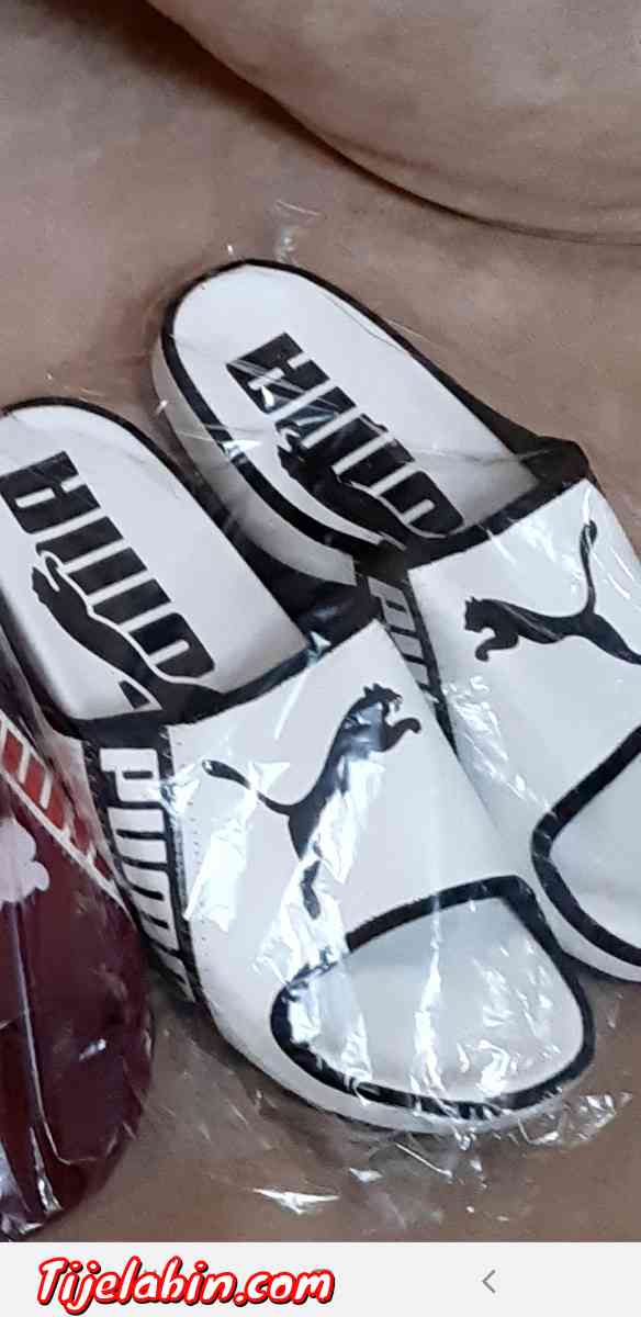 بلايغ راهم متوفرين حاجة شابة - Chlef, Chlef