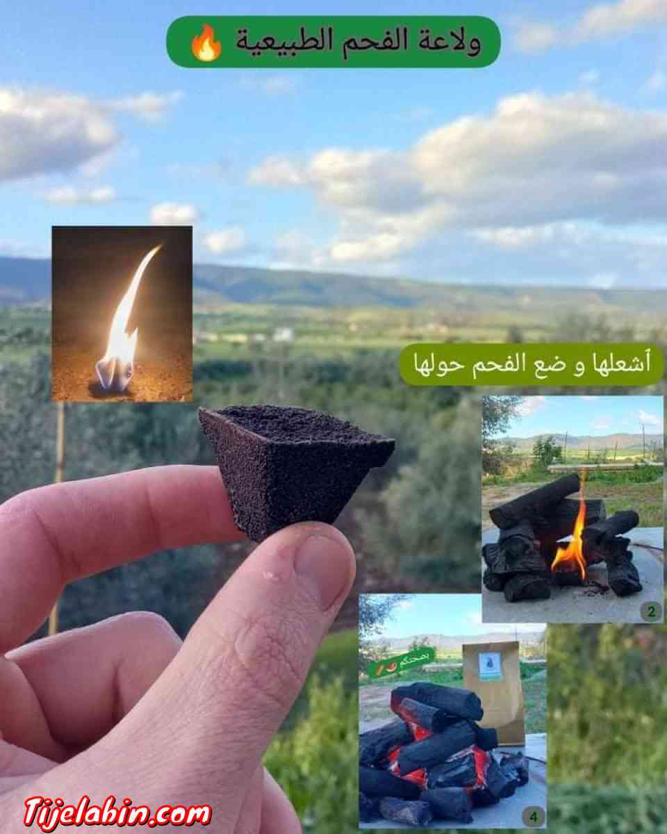 الفحم - Ain Benian, Alger - Tijelabin