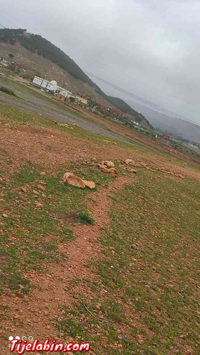 قطعة ارض - Ain Oulmane, Setif - Tijelabin