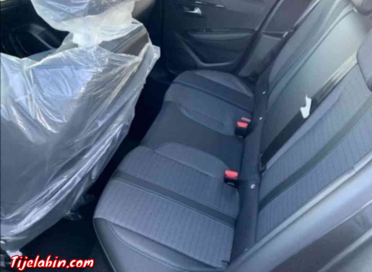 208 Alleur Gris artense - Kouba, Alger - Tijelabin