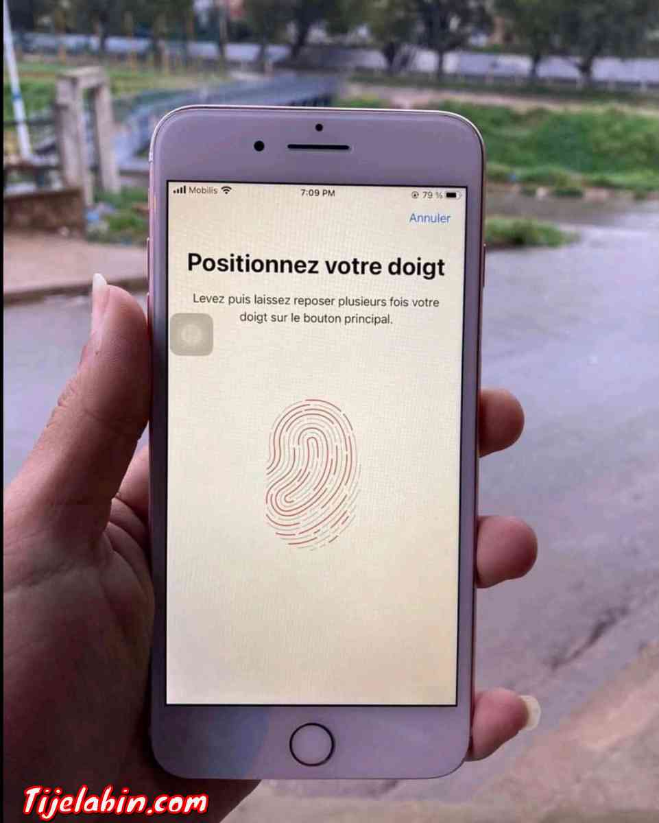 هاتف نقال - Maghnia, Tlemcen - Tijelabin