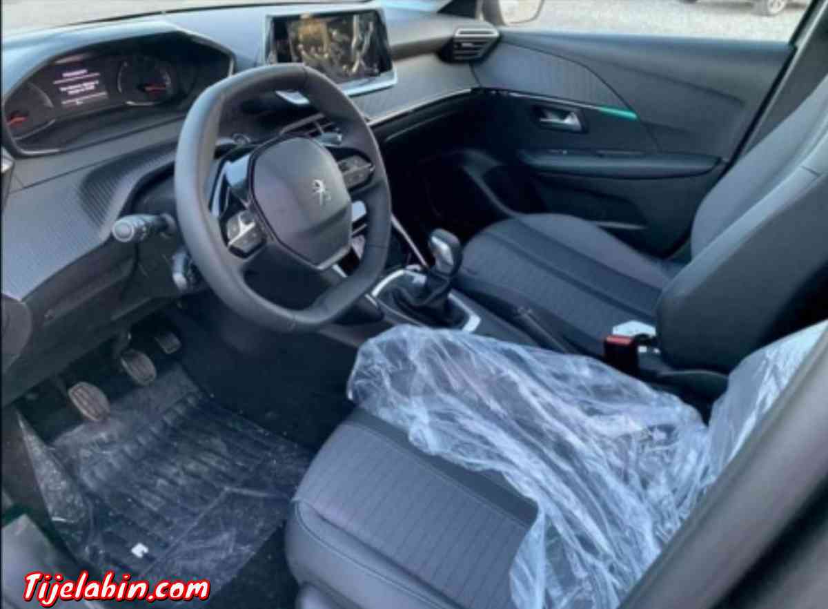 208 Alleur Gris artense - Kouba, Alger - Tijelabin