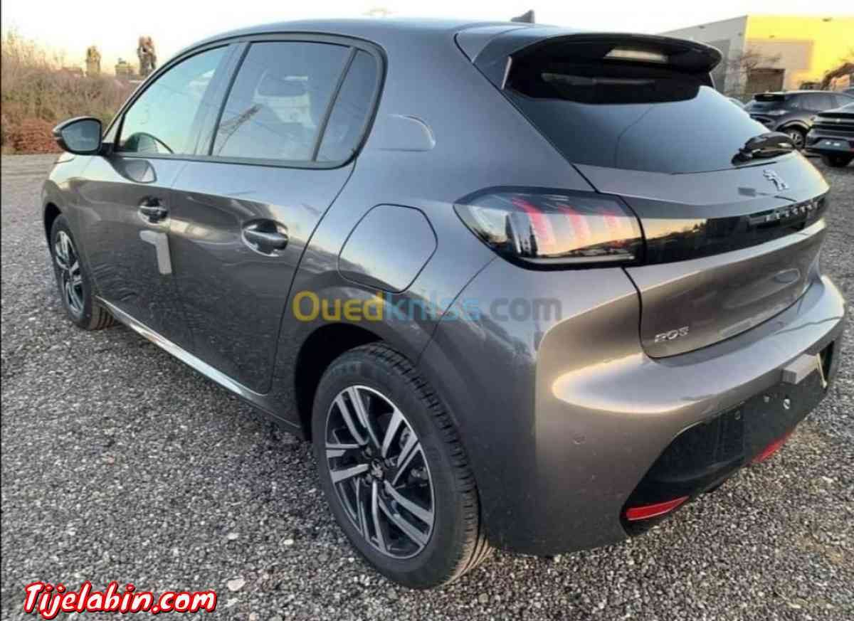 208 Alleur Gris artense