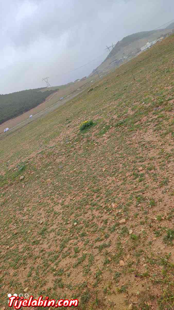 قطعة ارض للبيع - Ksar El Abtal, Setif - Tijelabin