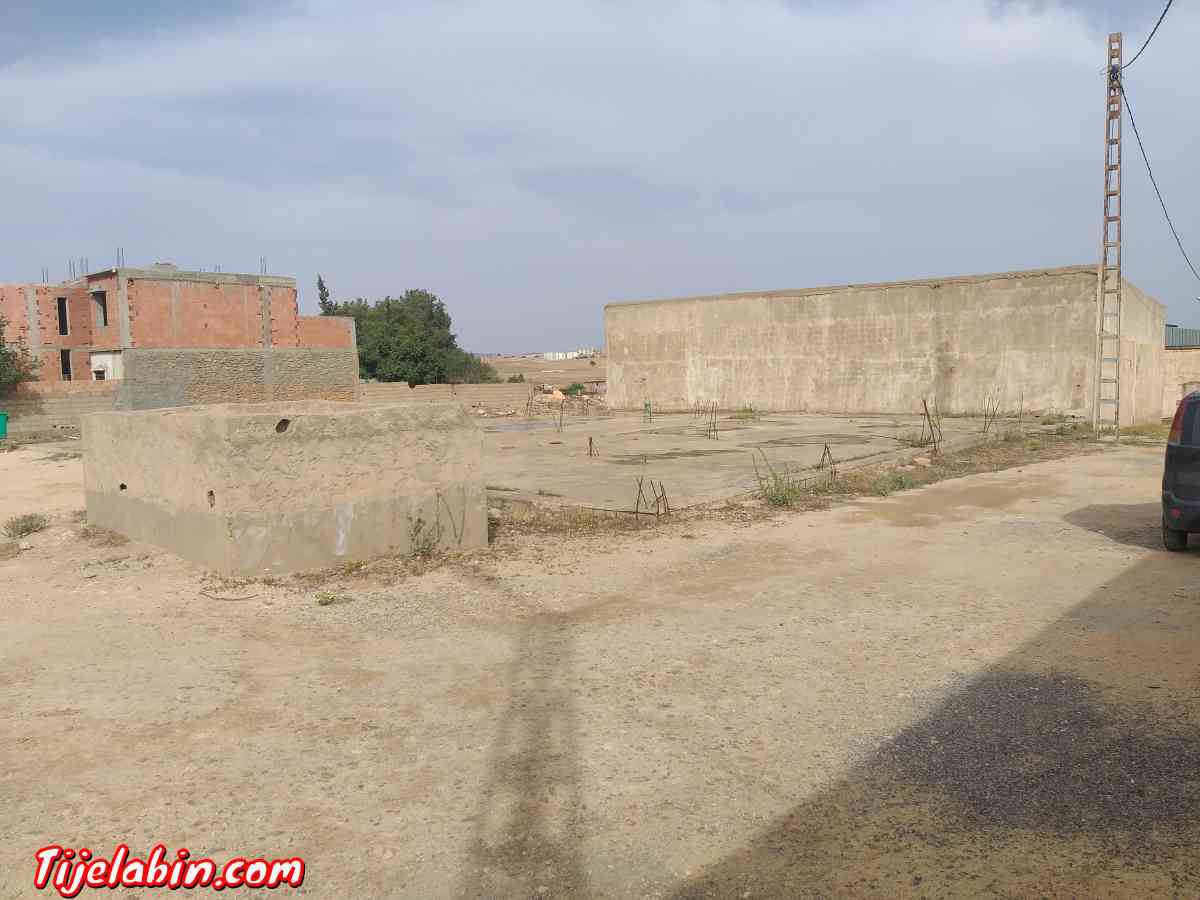 usin de boit  un grand Hangar sur la route - Amarnas, Sidi Bel Abbes - Tijelabin