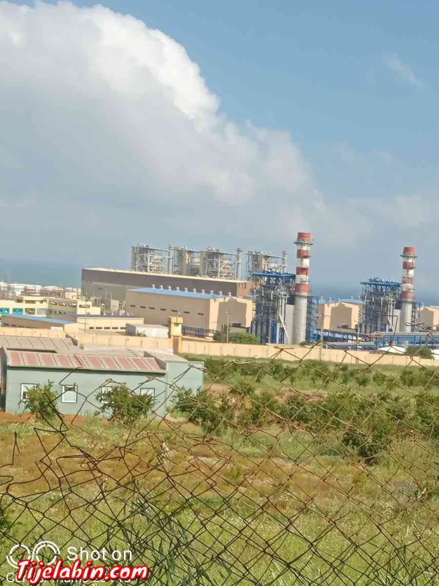 carcasse - Bab Azzouar, Alger - Tijelabin