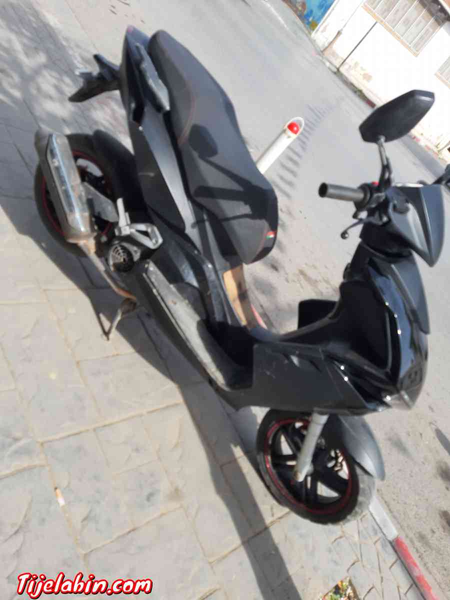 vispa sam - Tipaza, Tipaza - Tijelabin