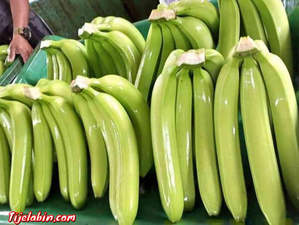 تصدير الموز من اكوادور - Ain Benian, Alger - Tijelabin