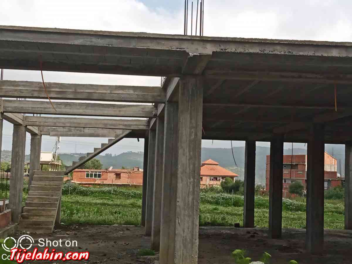 carcasse - Bab Azzouar, Alger - Tijelabin