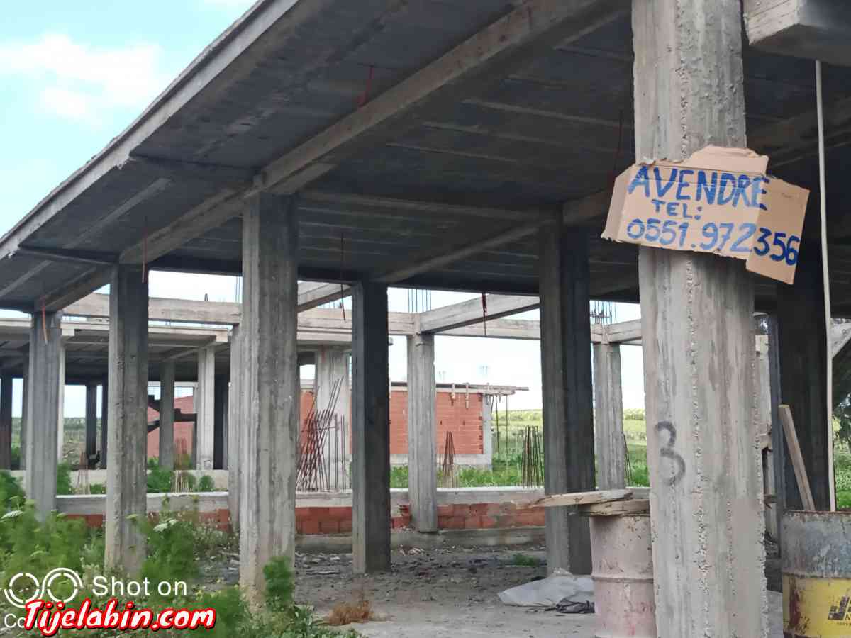 carcasse - Bab Azzouar, Alger