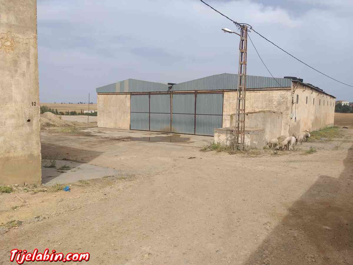 usin de boit  un grand Hangar sur la route