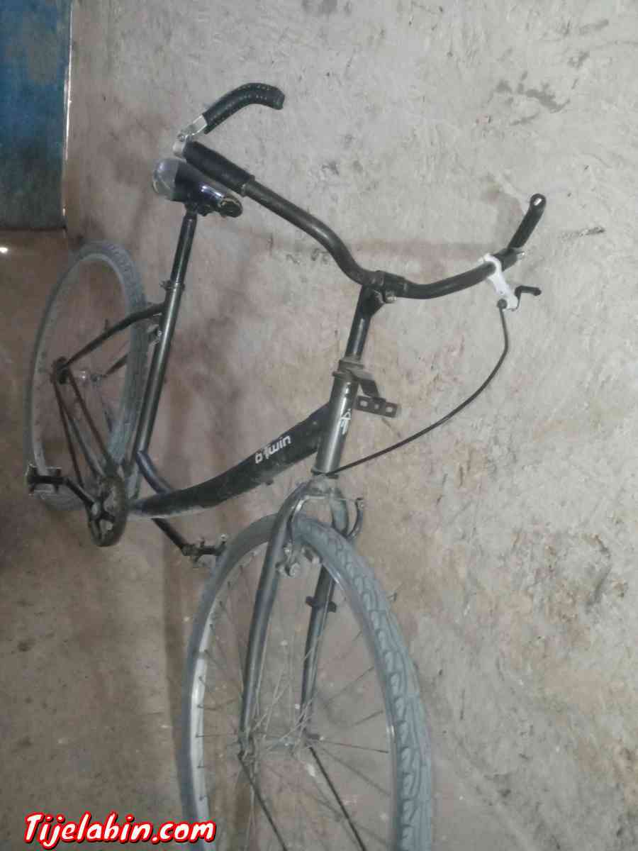 بسكلات بتوين كبيرة - El Bayadh, El Bayadh - Tijelabin