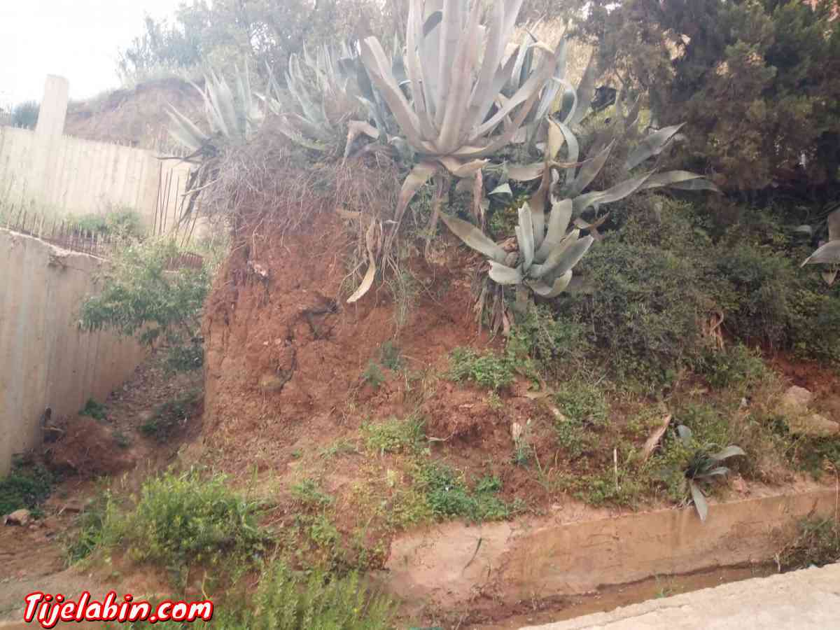 Villas  appartements. Terrains - Miliana, Ain Defla - Tijelabin