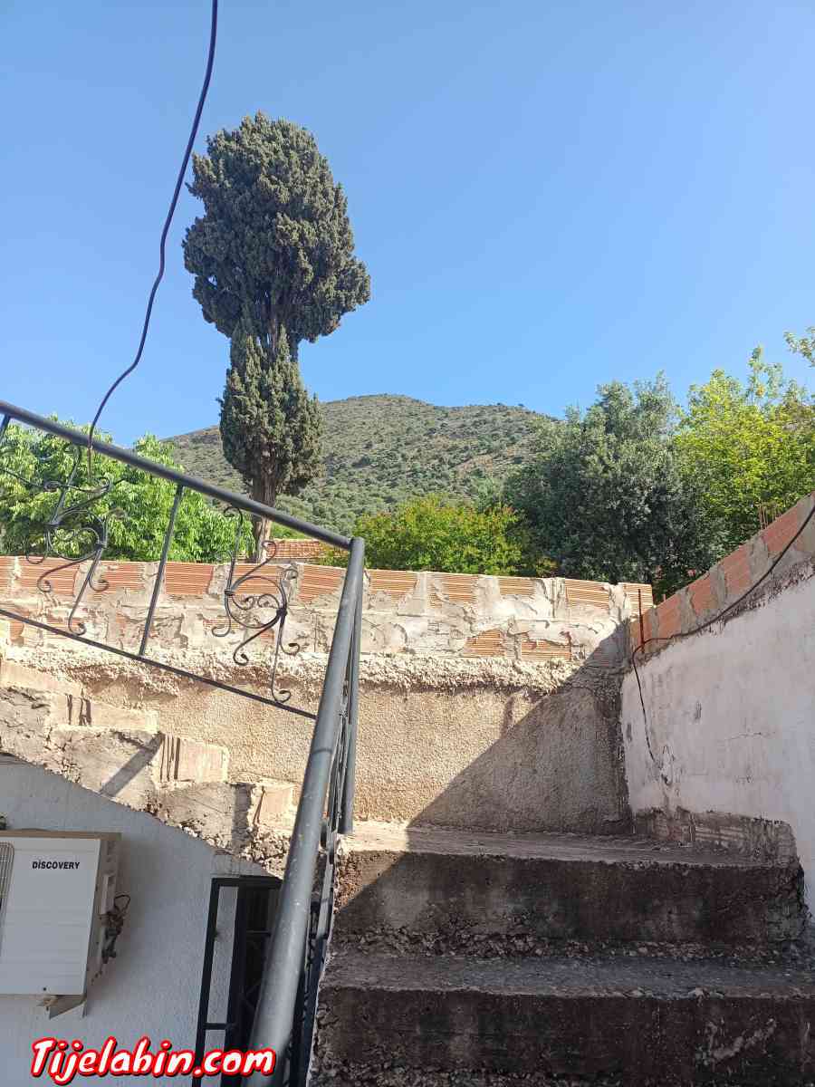 Villas  appartements. Terrains