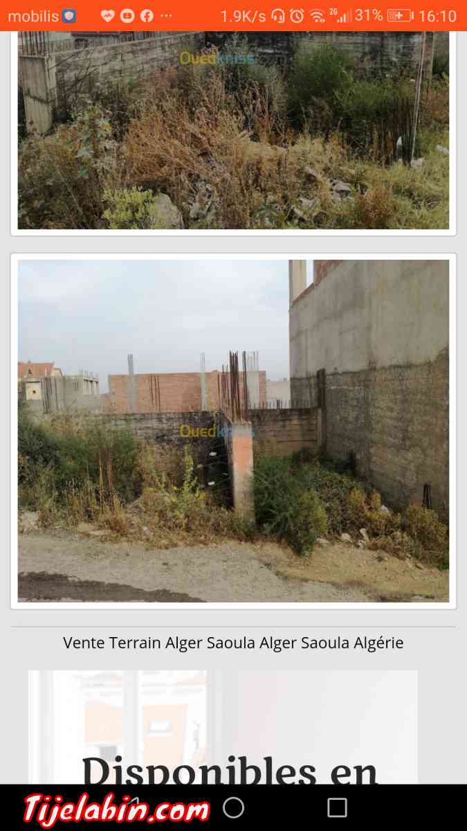 terrain a vendre a Ouled Belhadj  saoula