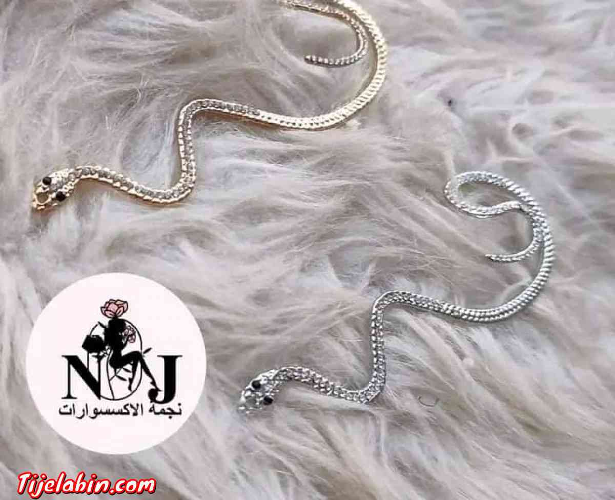 accès Oreil serpon - Tlemcen, Tlemcen - Tijelabin