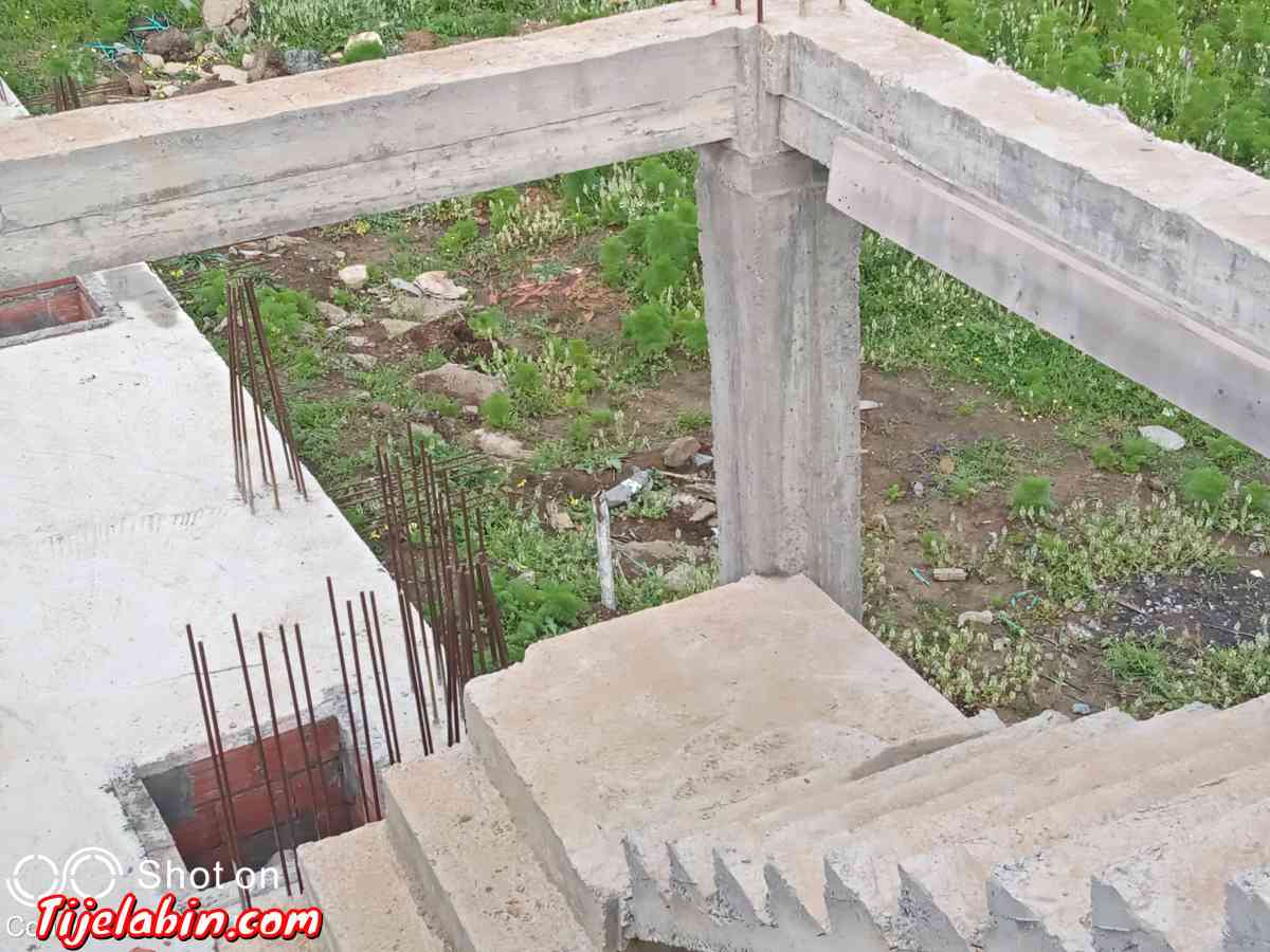 carcasse - Bab Azzouar, Alger - Tijelabin