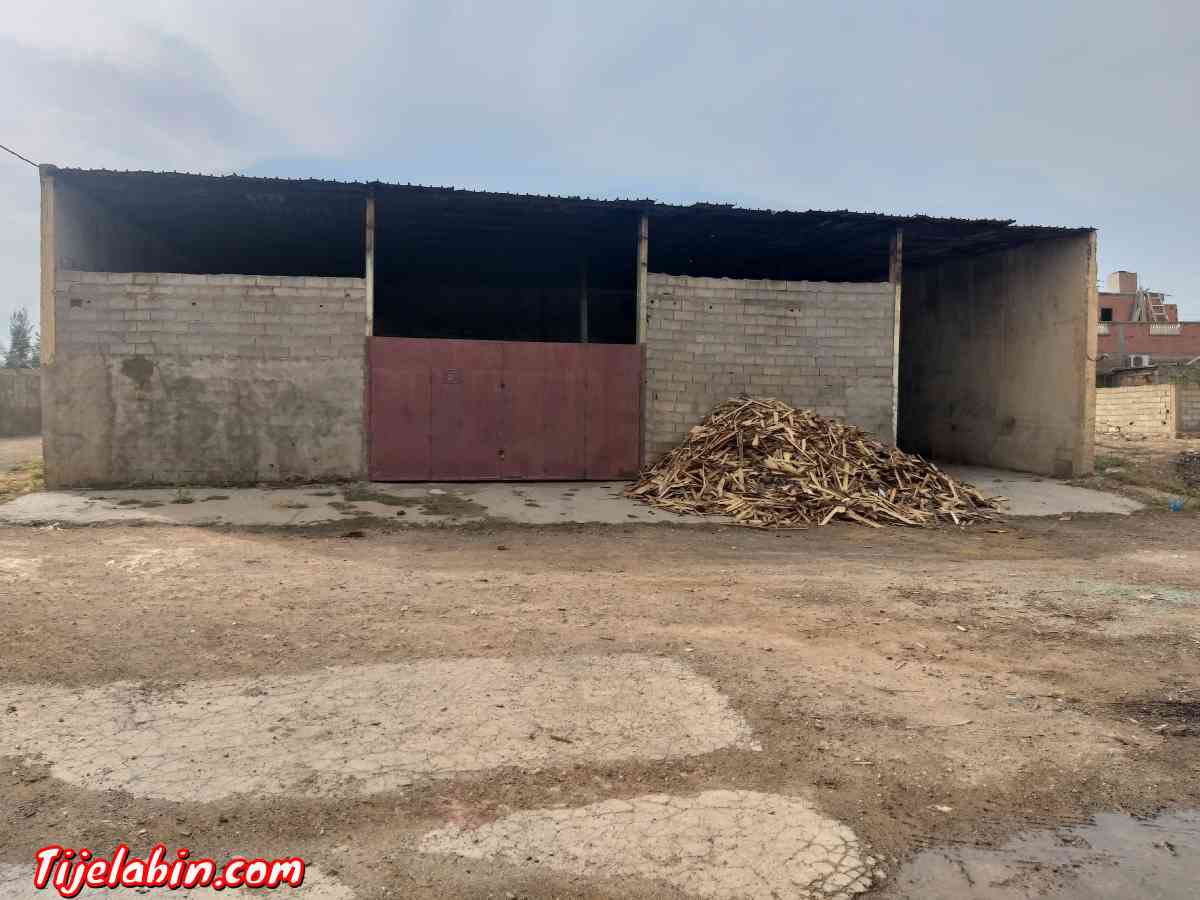 usin de boit  un grand Hangar sur la route - Amarnas, Sidi Bel Abbes - Tijelabin